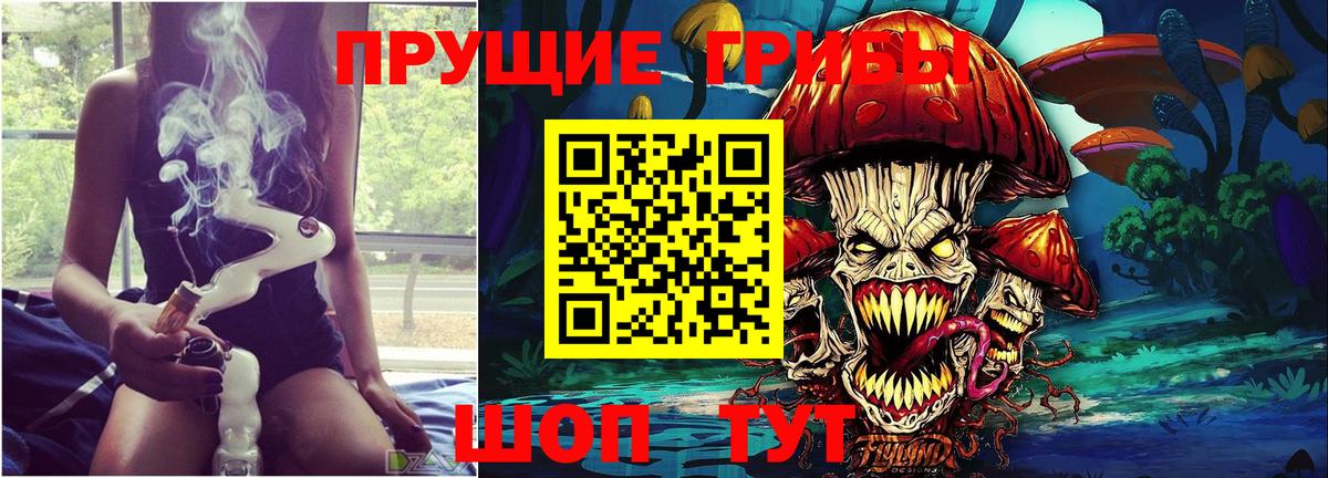 Псилоцибиновые грибы прущие грибы Минеральные Воды