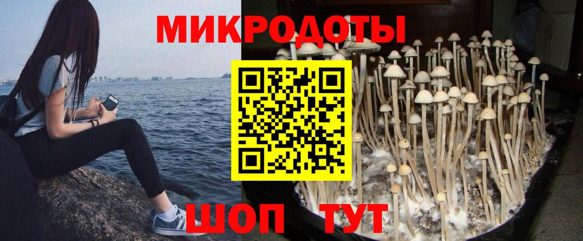 Минеральные Воды  Псилоцибиновые грибы прущие грибы  Вход с VPN 