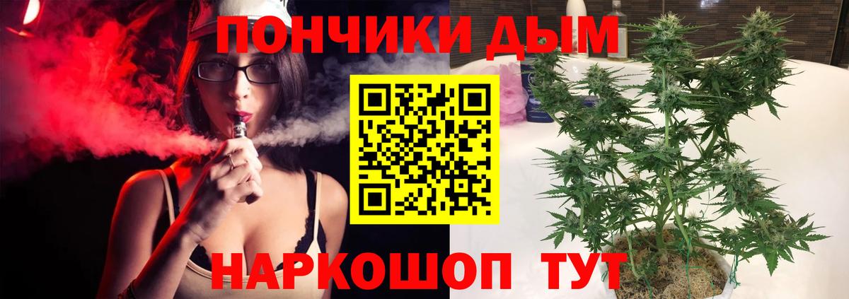 Марихуана план Минеральные Воды